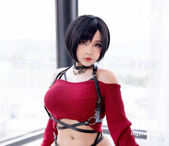 约尔·福杰cos了个遍，Sayo Momo带来的资源真让人眼前一亮。